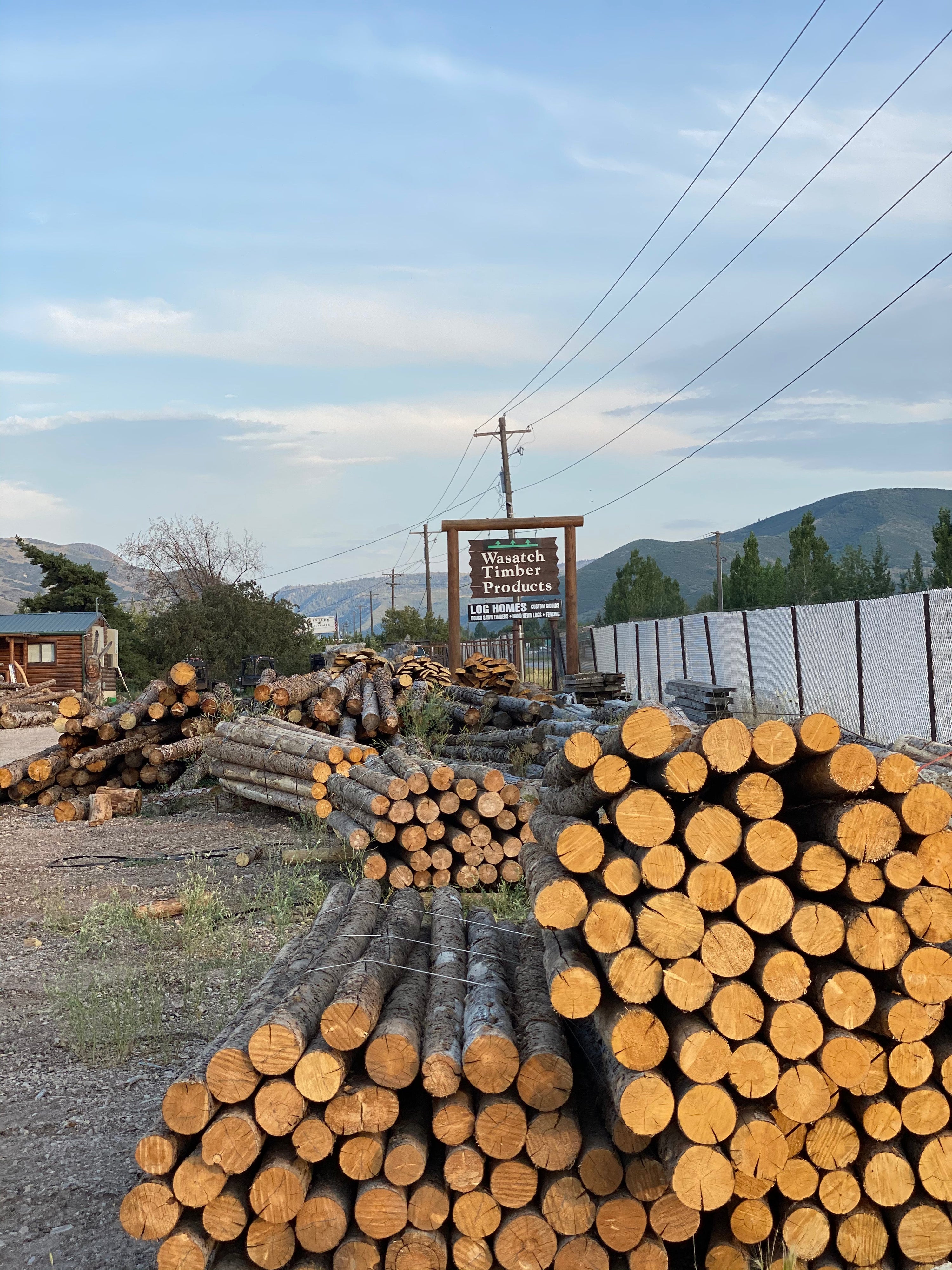 Lodgepole Pine vs. Douglas Fir vs. Engelmann Spruce: Choosing the Right Log for Your Build