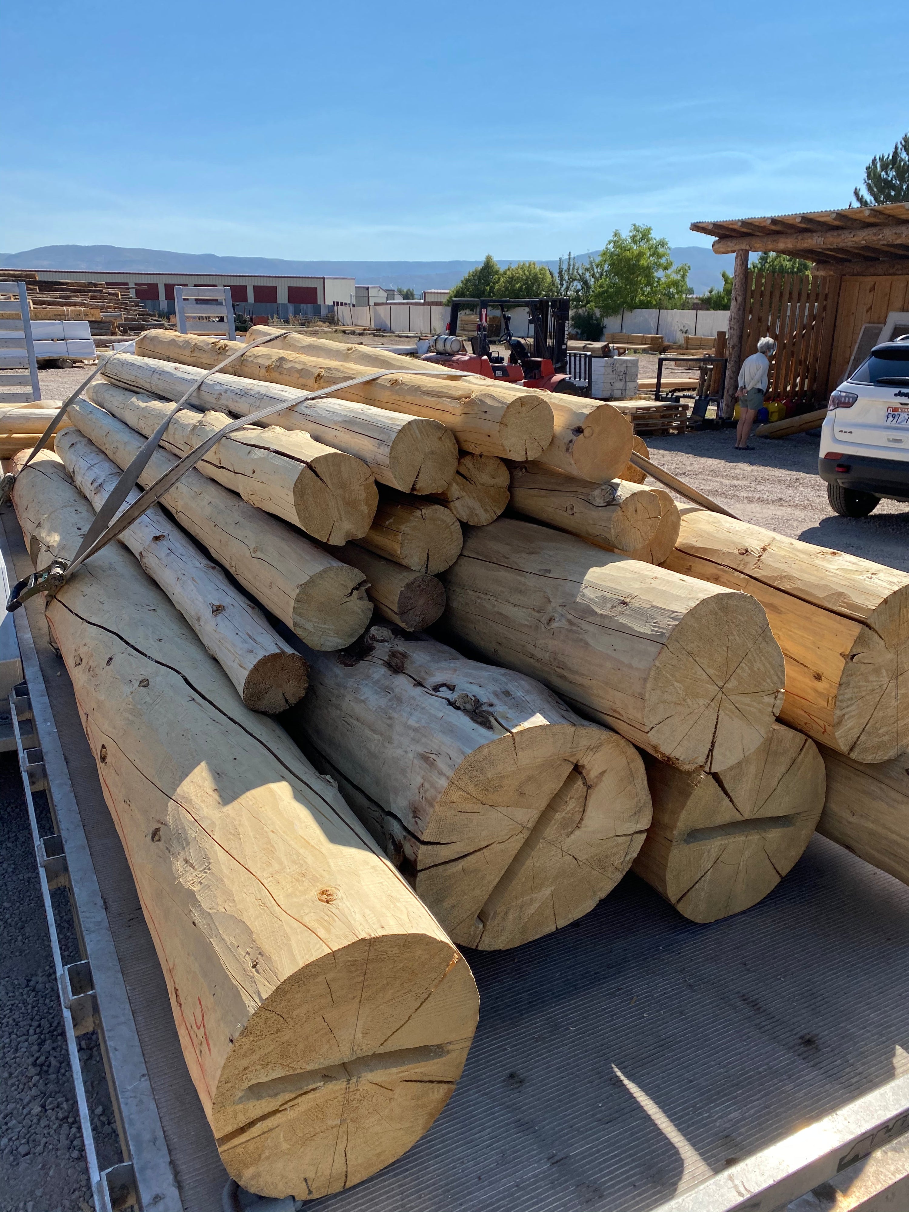 Raw vs. Milled vs. Milled-and-Peeled Logs: A Buyer's Guide