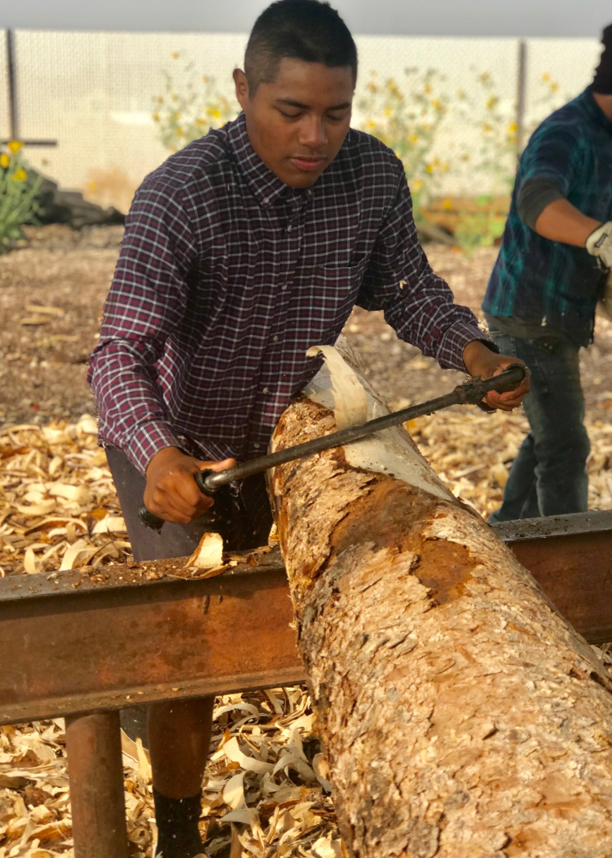 Draw Knife vs. Power Peeler: Two Ways to Peel a Log, Compared