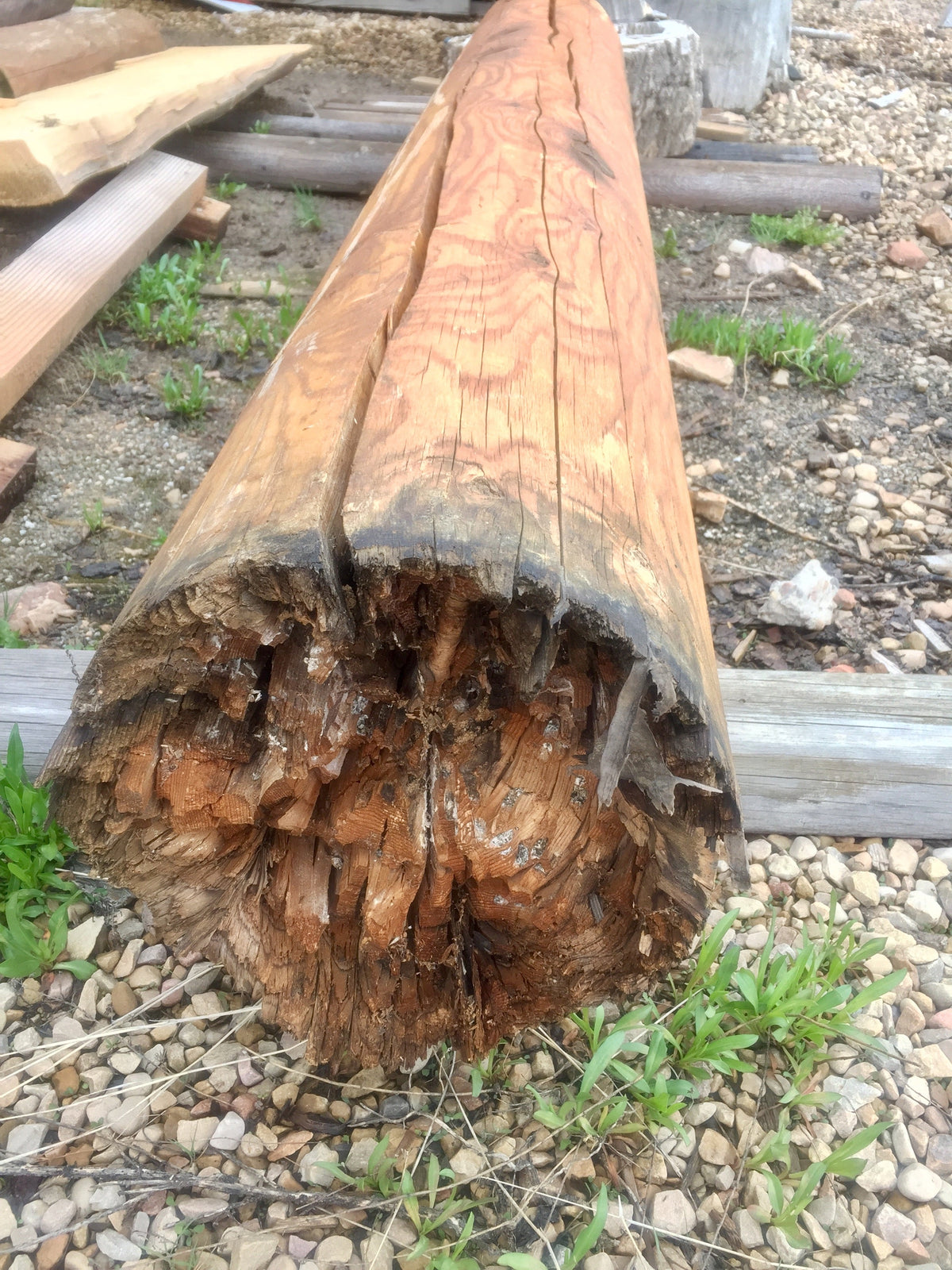 Beetles, Borers, and Borate: Preventing Insect Damage in Log Homes