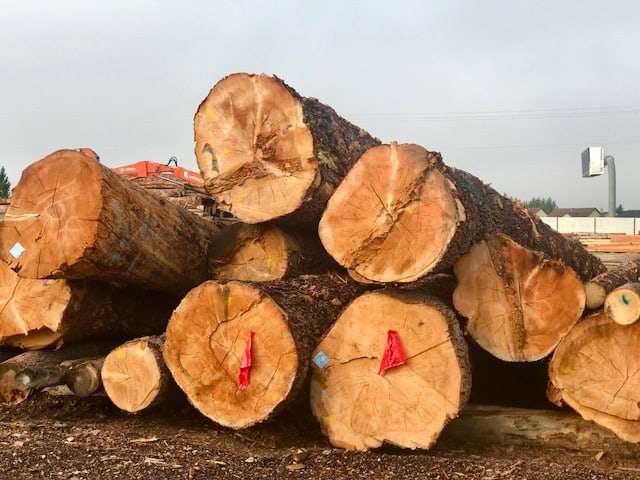 Drying Wood to Make Log Furniture