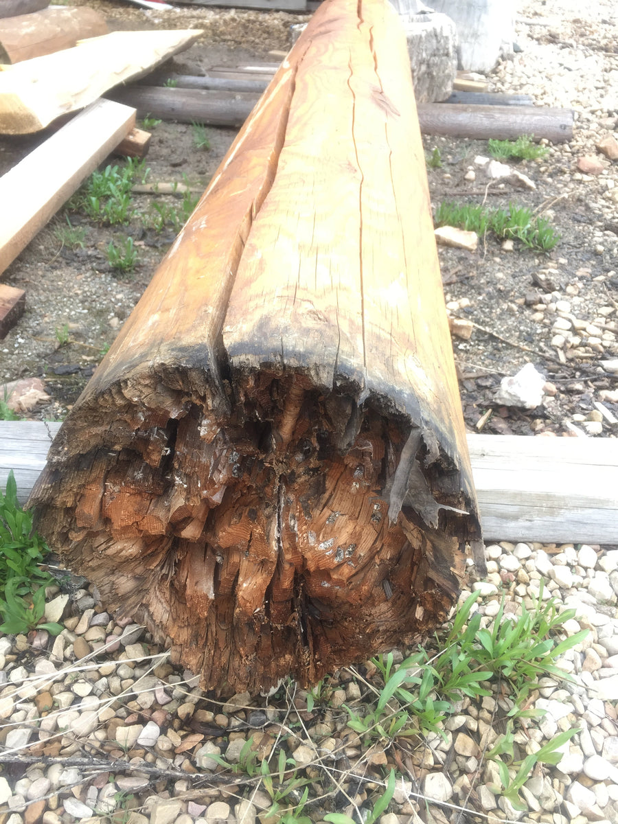Log Rot: How to Spot It Early and Actually Fix It