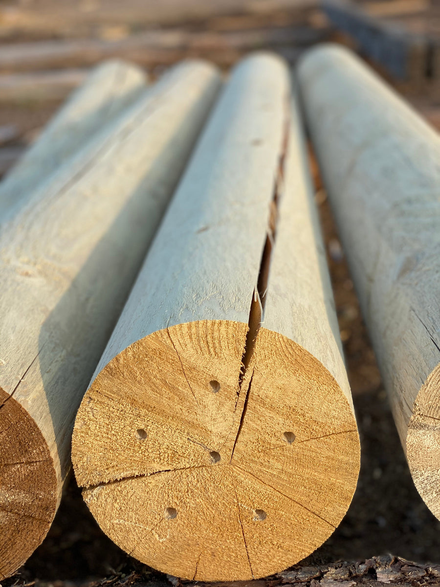 Why Logs Check and Crack (and When to Actually Worry)