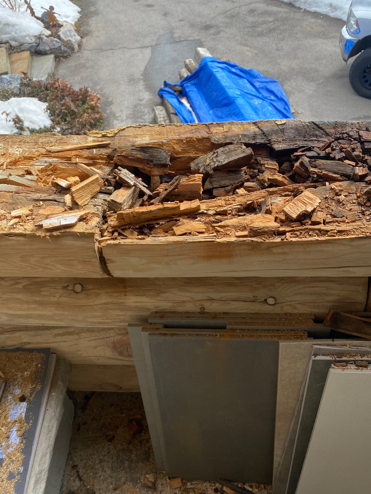 Window Rot