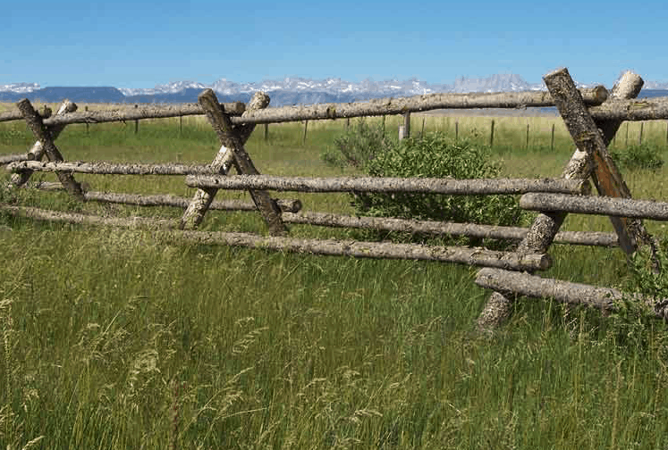 Wasatch-Timber-Buck-and-Rail-Fence.png__PID:4f576bb2-e3b6-41dd-b4d5-ad2f0603d787