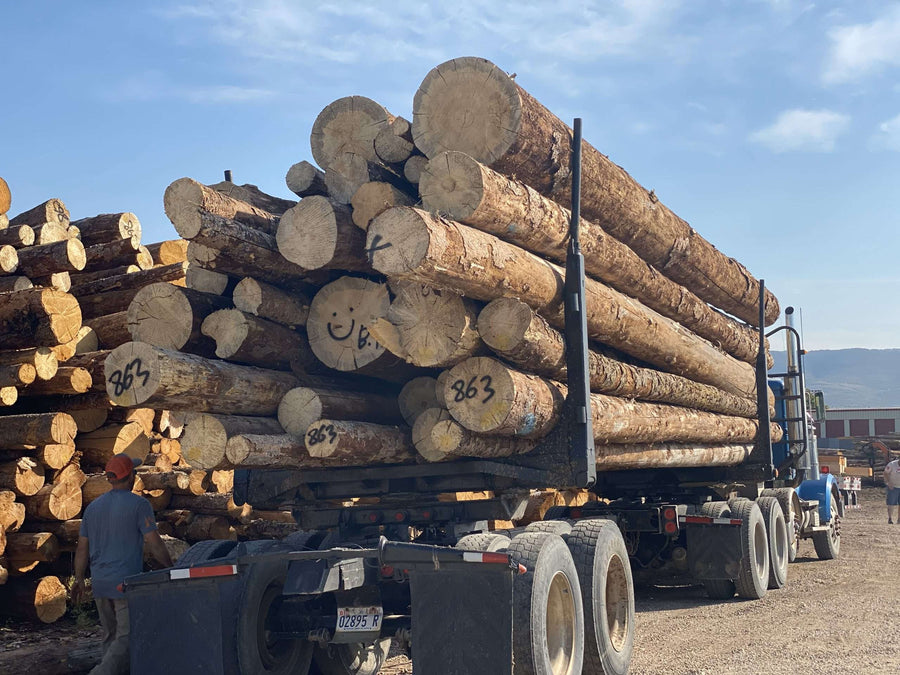 Wasatch Timber Products Raw Logs