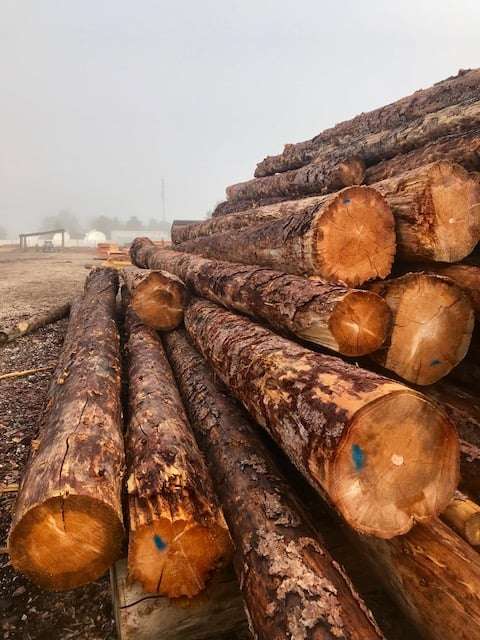 Log / Log / Dried wood / Raw store