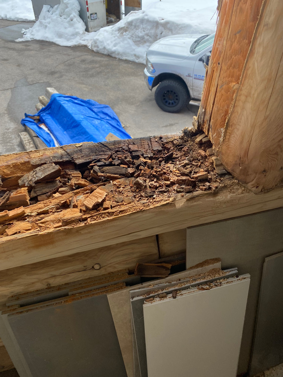 Identify Wood Decay